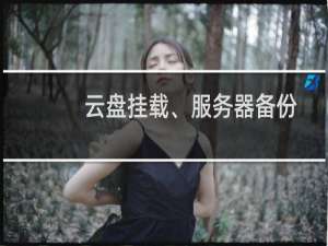 云盘挂载、服务器备份问题
