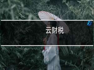 【云财税】免费云财税软件下载