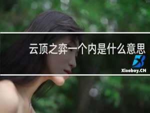 云顶之弈一个内是什么意思