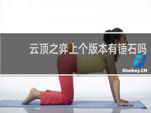 云顶之弈上个版本有锤石吗