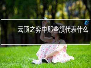 云顶之弈中那些旗代表什么