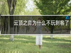 云顶之弈为什么不玩刺客了
