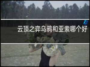 云顶之弈乌鸦和亚索哪个好