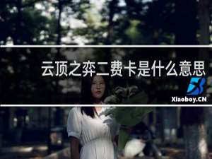云顶之弈二费卡是什么意思