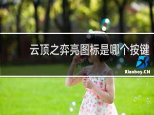 云顶之弈亮图标是哪个按键