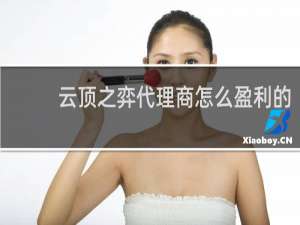 云顶之弈代理商怎么盈利的