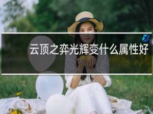 云顶之弈光辉变什么属性好