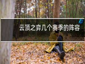 云顶之弈几个赛季的阵容