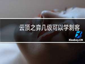 云顶之弈几级可以学刺客