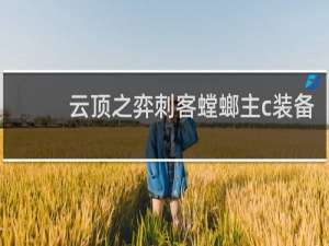 云顶之弈刺客螳螂主c装备