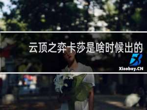 云顶之弈卡莎是啥时候出的