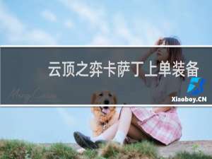 云顶之弈卡萨丁上单装备