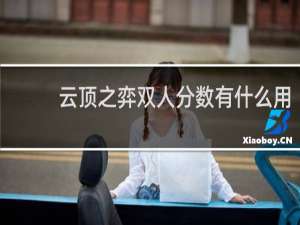 云顶之弈双人分数有什么用