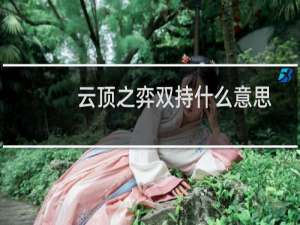 云顶之弈双持什么意思