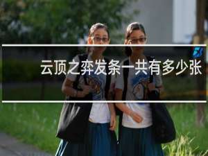 云顶之弈发条一共有多少张