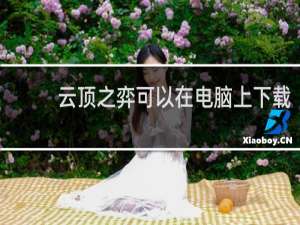 云顶之弈可以在电脑上下载
