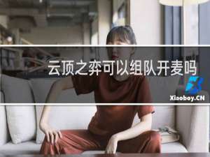 云顶之弈可以组队开麦吗