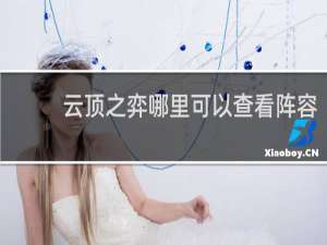 云顶之弈哪里可以查看阵容