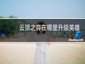 云顶之弈在哪里升级英雄