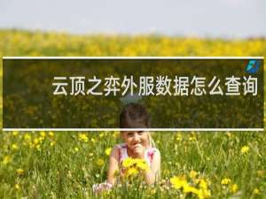 云顶之弈外服数据怎么查询