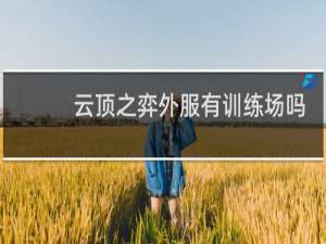 云顶之弈外服有训练场吗