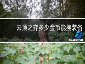 云顶之弈多少金币能换装备