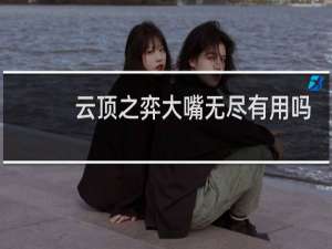 云顶之弈大嘴无尽有用吗