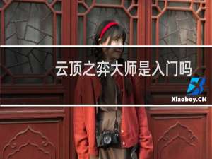 云顶之弈大师是入门吗