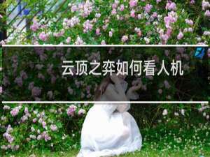 云顶之弈如何看人机