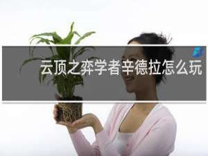 云顶之弈学者辛德拉怎么玩