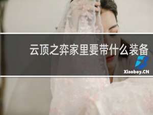 云顶之弈家里要带什么装备