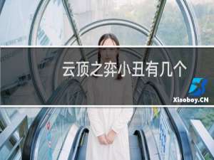 云顶之弈小丑有几个