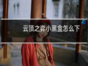 云顶之弈小黑盒怎么下