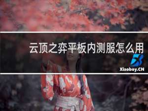 云顶之弈平板内测服怎么用