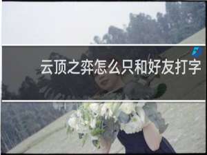 云顶之弈怎么只和好友打字