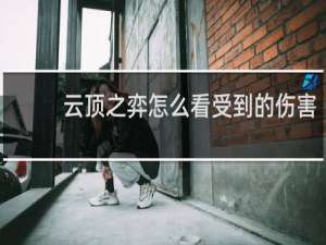 云顶之弈怎么看受到的伤害
