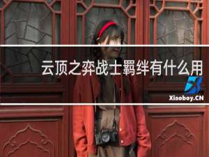 云顶之弈战士羁绊有什么用