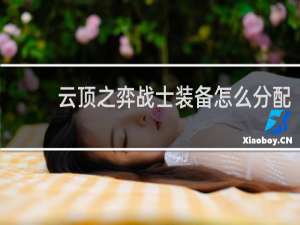 云顶之弈战士装备怎么分配
