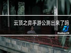 云顶之弈手游公测出来了吗