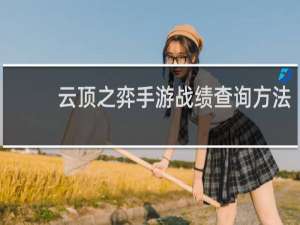 云顶之弈手游战绩查询方法