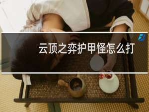 云顶之弈护甲怪怎么打