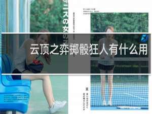 云顶之弈掷骰狂人有什么用