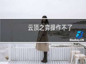 云顶之弈操作不了