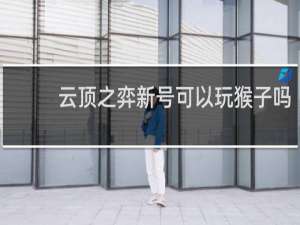 云顶之弈新号可以玩猴子吗