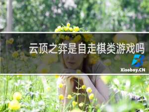 云顶之弈是自走棋类游戏吗