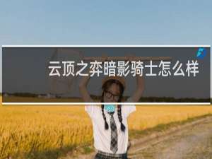 云顶之弈暗影骑士怎么样