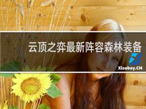 云顶之弈最新阵容森林装备