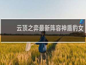 云顶之弈最新阵容神盾豹女