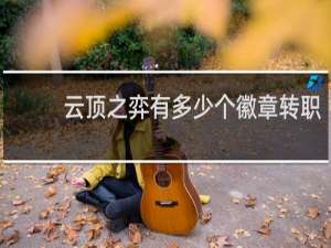 云顶之弈有多少个徽章转职