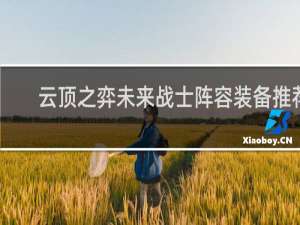 云顶之弈未来战士阵容装备推荐 云顶之弈未来战士出装推荐
